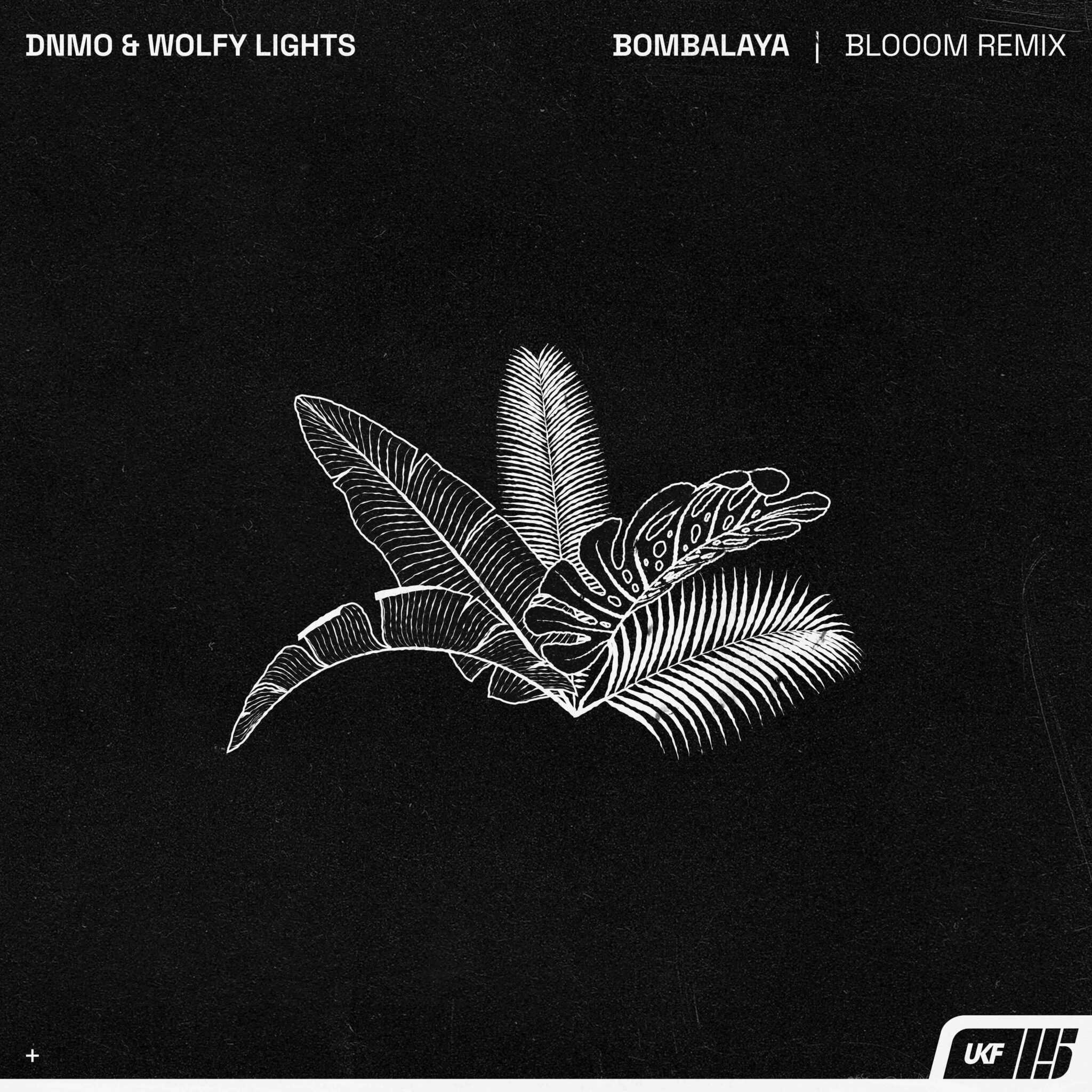 Dnmo Blooom releases remix of DNMO & Wolfy Lights’ ‘Bombalaya’ - Sport Playlists