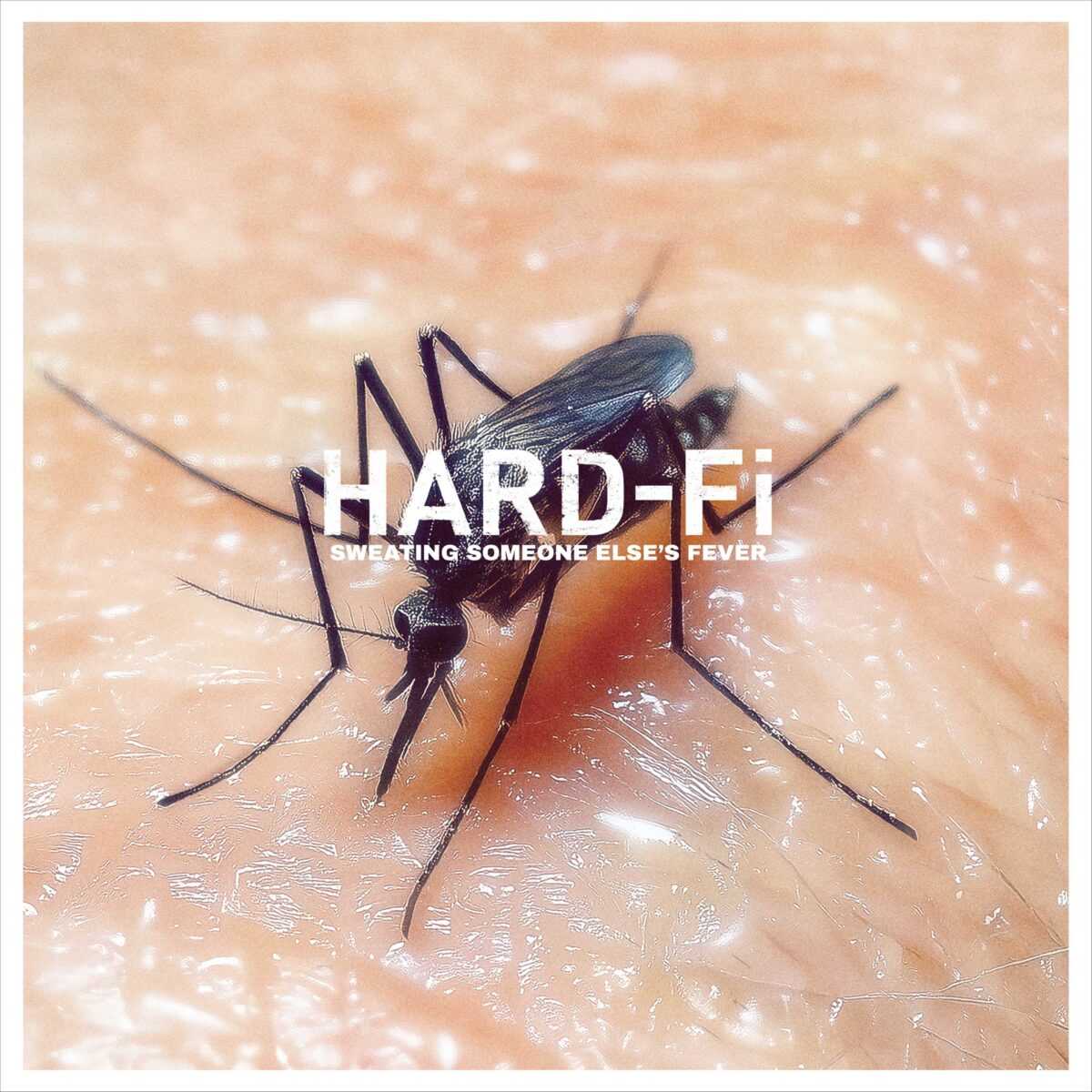 Hard-Fi