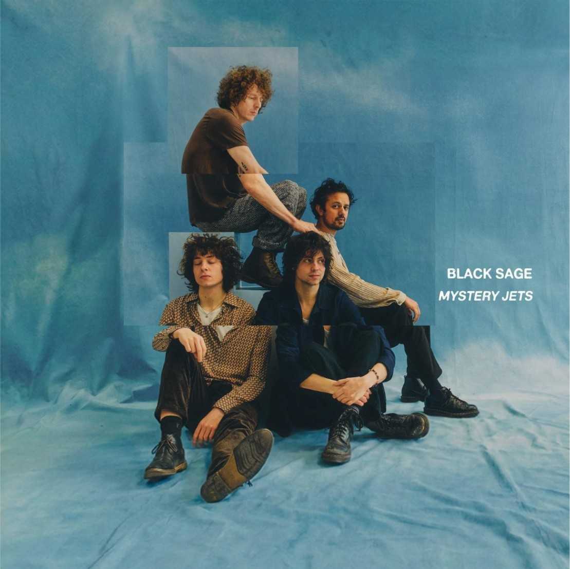 Mystery Jets