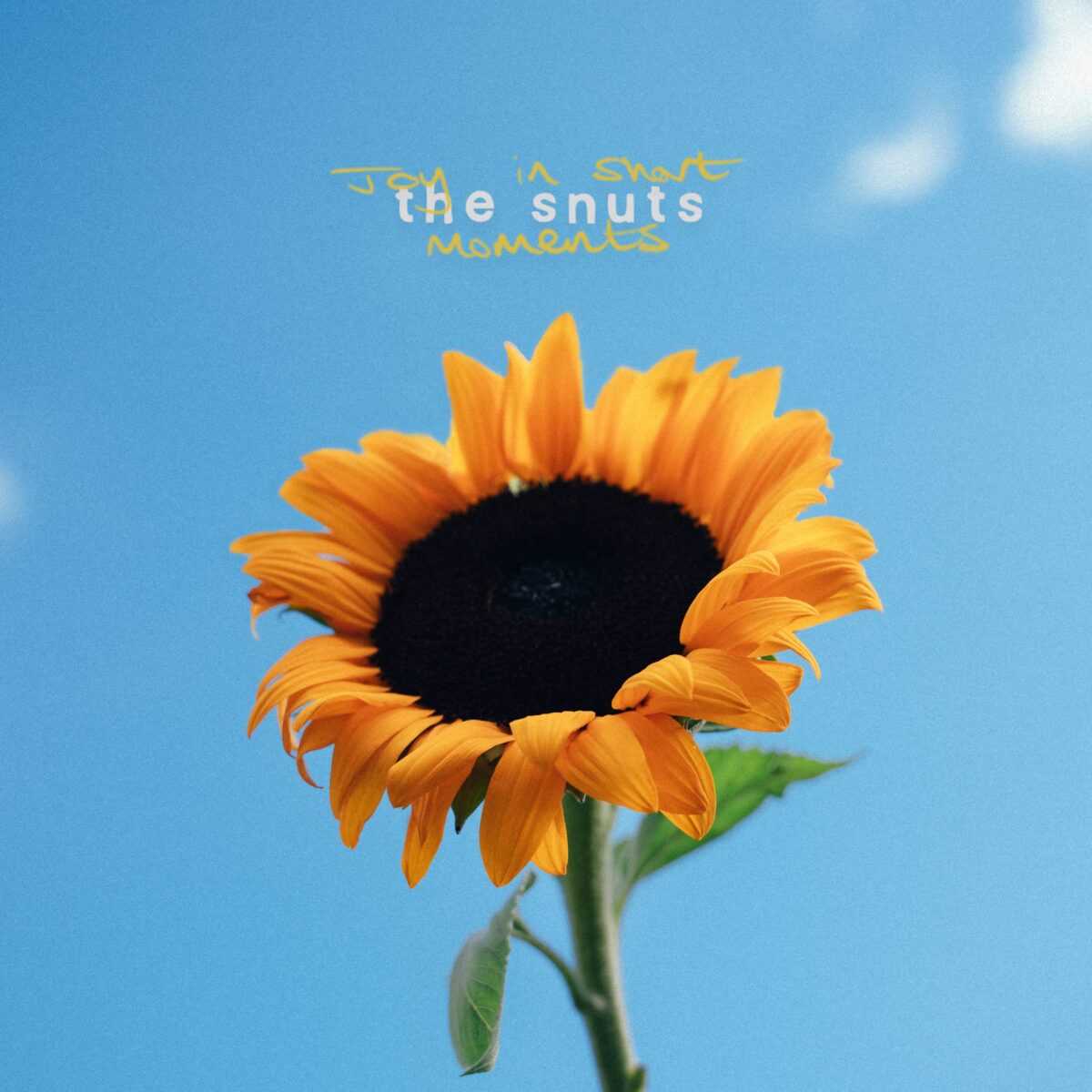 The Snuts